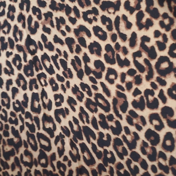 Leopard Print Dress - Picture 2 of 2
